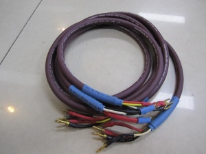 美国喇叭线MAXCABLE