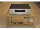 金嗓子 DP-510 CD机/丽声AV