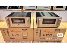 金嗓子 A250 纯甲类 旗舰单声道后级