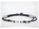 荷兰 Live Cable Halo Interlink 信号线