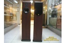 金驰 orator