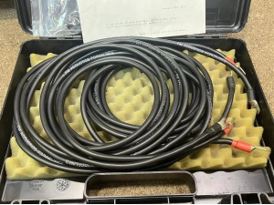 瑞士 FM Acoustics Forcelines 5号 喇叭线 3米