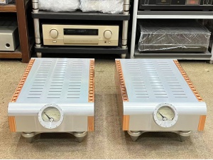 美国 大丹 Master Audio Systems M300 单声道后级