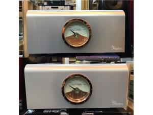 美国 Dan.D'Agostino/大丹 Progression AWP 600 单声道后级 一对
