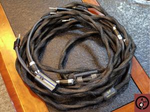 法国Esprit Cables 斯捷 Eterna 永恒系列 喇叭线 