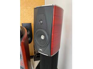 意大利世霸Sonus Faber 小名琴超越版EVO guarneri evolution