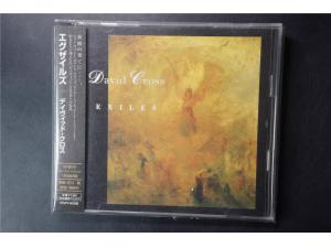CANYON 《Exiles》 - 大卫·克罗斯 David Cross
