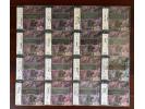 稀少收藏品 旋律 《富特文格勒二战期间传奇录音》 - 16CD经典名盘  前苏联首版，无IFPI码，带侧标 原装盒 完美品相