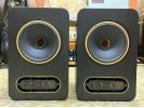 英国 TANNOY 天朗 GOLD 8 有源监听音箱