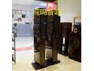 丹麦丹拿C2铂金版