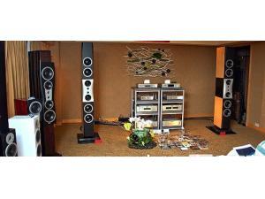丹拿Dynaudio Evidence小证据