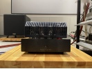 【极新】荷兰PrimaLuna翩乐KT88单声道后级一对