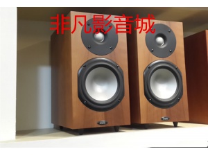 意大利 卓丽 Chario Syntar 新声达 513 书架音箱 书架箱