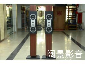 丹拿/Dynaudio C2II 信心二号MK2 落地音箱