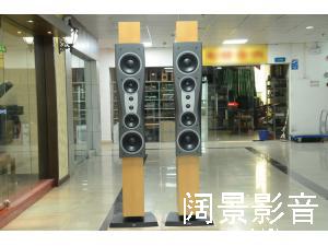 Dynaudio/丹拿 信心四号 Confidence C4 旗舰落地箱