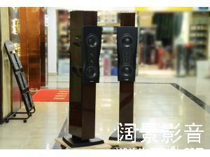 Dynaudio 丹拿 Confidence C2 铂金版