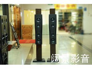 丹拿 Dynaudio 信心四号铂金版 Confidence C4 Platinum 落地箱