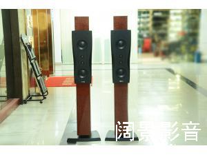 丹拿 Dynaudio C2 信心2号 落地音箱