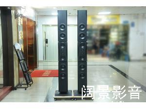 丹麦 丹拿 Dynaudio Evidence Platinum 证据铂金版 落地音箱
