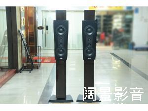 丹拿/Dynaudio 信心二号 C2铂金版 Confidence C2 落地音箱