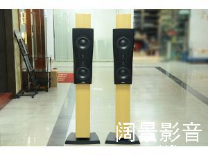 丹拿/Dynaudio 信心二号 C2铂金版 Confidence C2 Platinum落地音箱