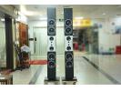 丹麦 丹拿 Dynaudio Evidence Master 大证据 旗舰落地音箱