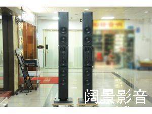 丹麦 丹拿 Dynaudio Evidence Platinum 证据铂金版 落地音箱