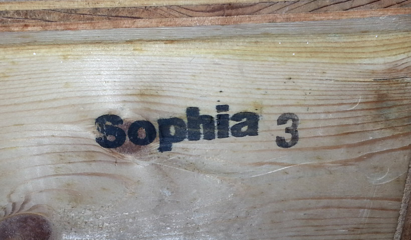 (已出)WILSON 威信 Sophia 3 索菲亚 3代