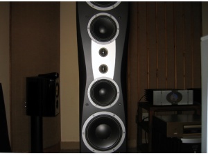 DYNAUDIO(丹拿) C4 signature