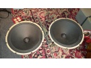 Jensen F15ll 励磁喇叭 15" (3)