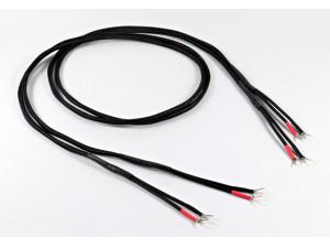 美国 VOODOO Essence (Single-wire pair) 喇叭线