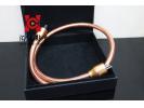 丹麦Zensati angel天使电源线1.5米