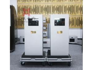 瑞士Golgmund高文 5500ng 单声道后级功放