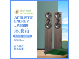 英国AE 509 发烧hifi家用客厅落地式木质音箱 全新行货保修