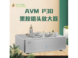 原装德国 AVM 30 P30 黑胶唱头放大器 phono 唱放 mm mc 调阻抗