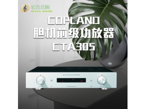 原产丹麦Copland柯普兰CTA305发烧hifi家用音响前级胆机功放代理