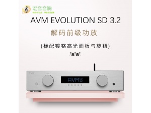 德国 AVM EVOLUTION SD 3.2 HIFI网络串流数字播放器解码前级功放