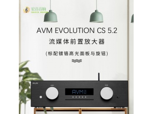 AVM EVOLUTION CS 5.2立体声功放一体机（数码流唱放CD收音）