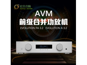 德国 AVM EVOLUTION PA3.2 A3.2 合并功放发烧前级HIFI原装进口