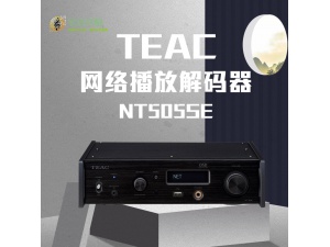 TEAC NT505SE网络串流解码耳放NT505升级版 国行代理