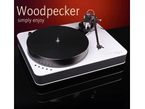 DR.FEICKERT ANALOGUE WOODPECKER 唱盘