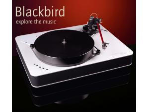 DR.FEICKERT ANALOGUE BLACK BIRD 唱盘