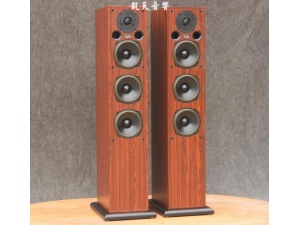 英国 AE 120落地式音箱！当初评为5星级产品