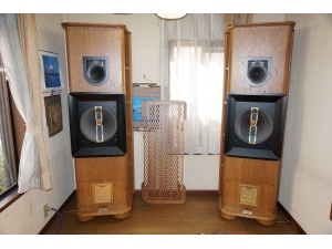 美国 JENSEN G610顶级巨人罕见扬声器