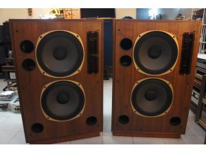 TANNOY 天朗 FSM 双15寸顶级监听箱