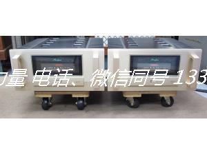 金嗓子A200单声道后级
