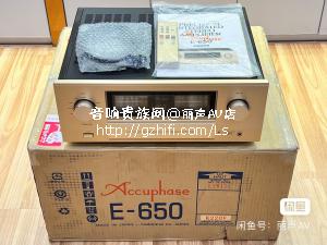 金嗓子 E650 纯甲类hifi 立体声功放