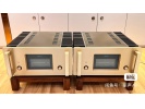 金嗓子 A100 纯甲类 单声道后级
