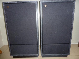 12寸同轴音箱天朗 TANNOY CHIVIOT