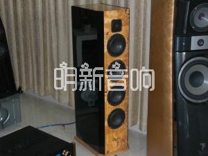 比利时Venture（威卓）DS4 MKII 石墨音箱